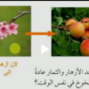 شرح درس لماذا يحتوي النبات على أزهار لمادة العلوم للصف الخامس