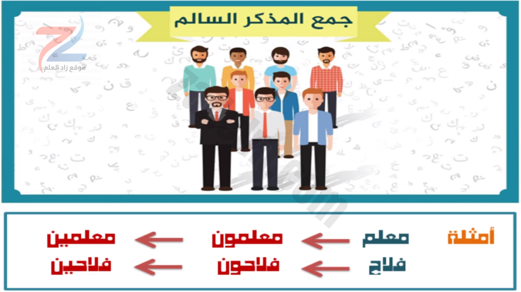 شرح جمع المذكر السالم اللغة العربية للصف السادس سلطنة عمان