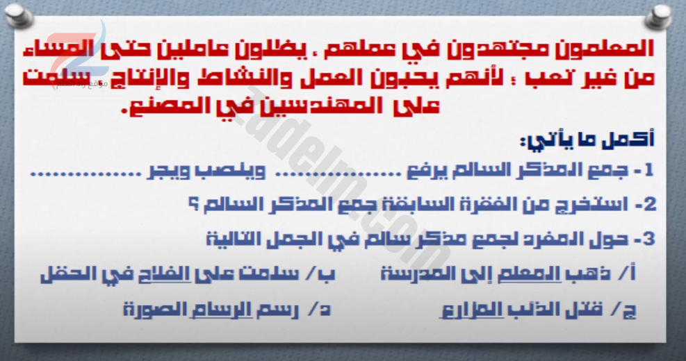 شرح جمع المذكر السالم اللغة العربية للصف السادس سلطنة عمان