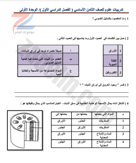 جميع ملخصات الصف الثامن سلطنة عمان