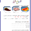 كراسة تدريبات لغة عربية الصف الاول