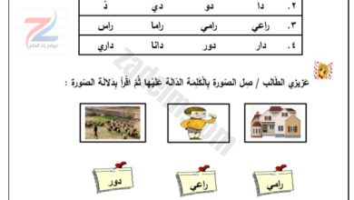 كتيب انشطة لغة عربية للصف الاول