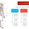شرح درس الهيكل العظمي للانسان علوم الصف السابع