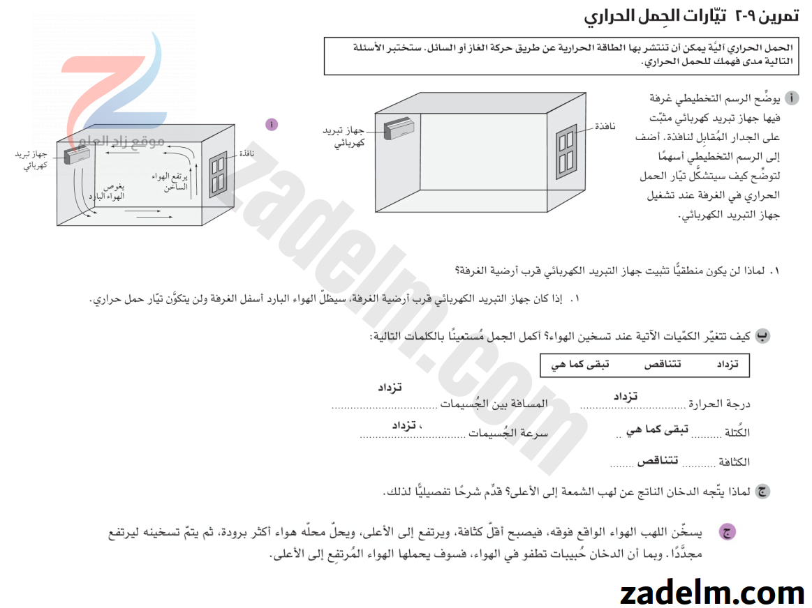 كتاب النشاط