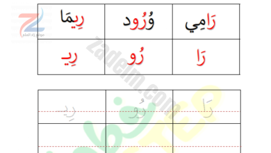 ملزمة تدريبات حرف الراء لمادة اللغة العربية لطلاب الصف الاول والصف الثاني