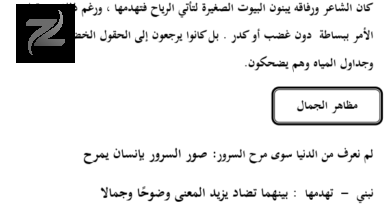 ملزمة شرح نصوص مادة اللغة العربية للصف السادس الفصل الدراسي الثاني
