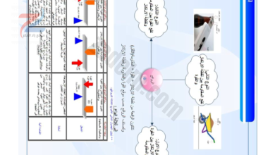 كتيب ملخص وشرح مادة العلوم للصف السابع الفصل الدراسي الثاني بعنوان لنبدع في العلوم لمنهج سلطنة عمان