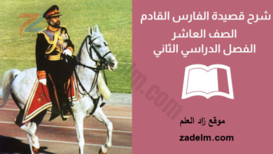 شرح قصيدة الفارس القادم لغة عربية للصف العاشر الفصل الدراسي الثاني