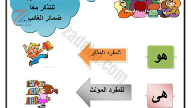 شرح وانشطة في ضمائر الغائب لمادة اللغة العربية للصف الثالث