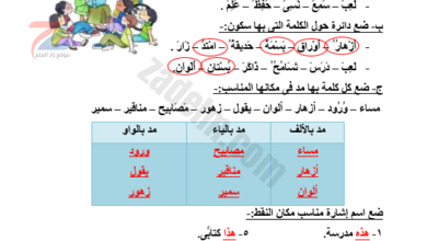 انشطة وشروحات في فهم المقروء لمادة اللغة العربية للصف الثالث والثاني