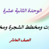 شرح بوربوينت للوحدة 12 الاحتمالات ومخطط الشجرة لمادة الرياضيات للصف العاشر الفصل الدراسي الثاني