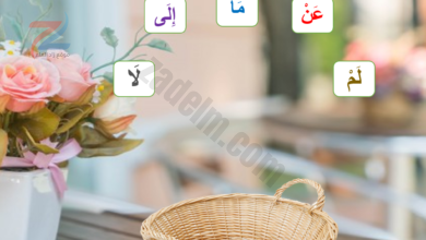 ملف بوربوينت لشرح ادوات النفي لمادة اللغة العربية