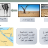 ملخصات عن دروس حضارات مصر القديمة لمادة الدراسات الاجتماعية للصف السابع