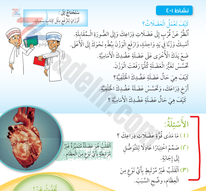 حل درس الهياكل العظمية والحركة 1 4 لمادة العلوم للصف الرابع الفصل