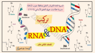 ملف بوربوينت لشرح درس تكريب الDNA والRNA لمادة الاحياء للصف الثاني عشر الفصل الدراسي الاول للاستاذة خلود العجمي