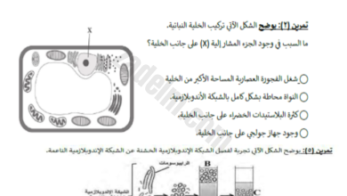 تدريبات ومراجعة عن الخلية لمادة الاحياء للصف الحادي عشر الفصل الدراسي الاول