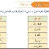 حل اسئلة درس النمط اللغوي مراجعة لمادة اللغة العربية للصف الرابع الفصل الدراسي الثاني