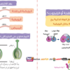 عرض تقديمي لشرح درس الثمار لمادة العلوم للصف السابع الفصل الدراسي الاول