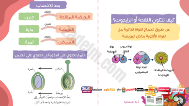 عرض تقديمي لشرح درس الثمار لمادة العلوم للصف السابع الفصل الدراسي الاول