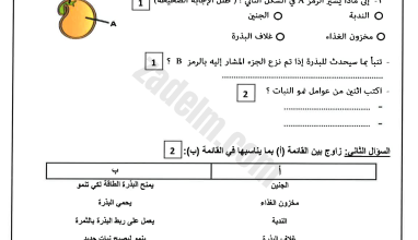 تجميع نماذج الاختبار القصير الاول لمادة العلوم للصف الخامس الفصل الدراسي الاول