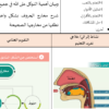 ملف وورد لتحضير جميع دروس مادة التربية الاسلامية للصف السادس الفصل الدراسي الاول