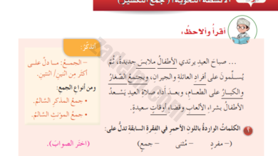 حل اسئلة درس جمع التكسير لمادة اللغة العربية للصف السادس الفصل الدراسي الثاني المنهج العماني