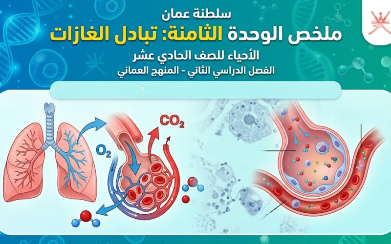 ملخص الوحدة الثامنة: تبادل الغازات لمادة الاحياء للصف الحادي عشر الفصل الدراسي الثاني المنهج العماني