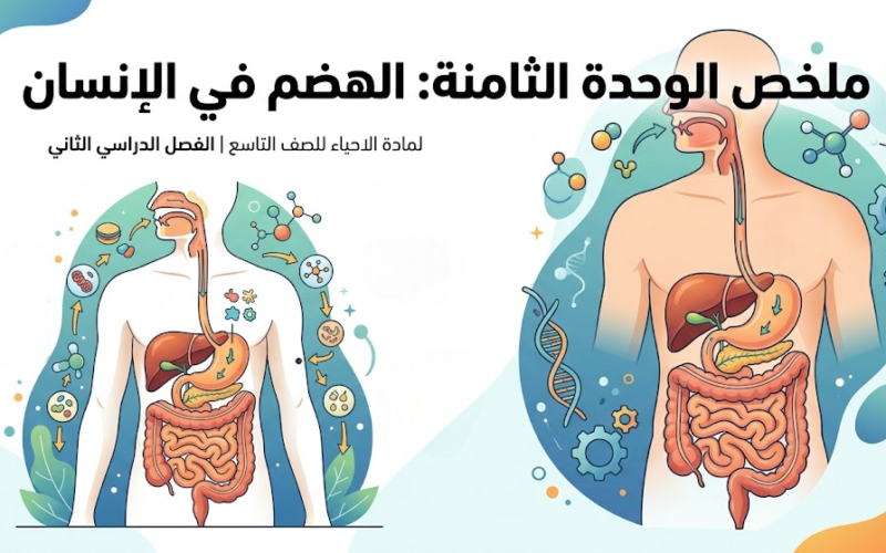 ملخص الوحدة الثامنة: الهضم في الإنسان لمادة الاحياء للصف التاسع الفصل الدراسي الثاني