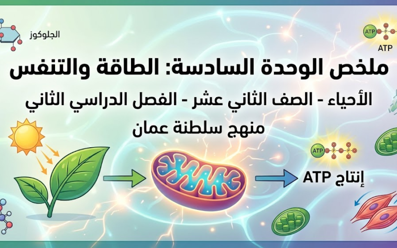 ملخص الوحدة السادسة الطاقة والتنفس لمادة الاحياء للصف الثاني عشر الفصل الدراسي الثاني لمنهج سلطنة عمان