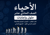 حلول وإجابات كتاب الطالب والتجارب العملية والأنشطة لمادة الكيمياء للصف الحادي عشر الفصل الدراسي الاول المنهج العماني