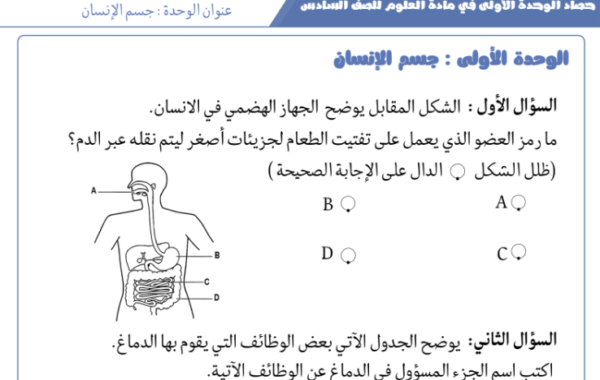 انشطة حصاد الوحدة الاولى جسم الانسان لمادة العلوم للصف السادس الفصل الدراسي الاول المنهج العماني