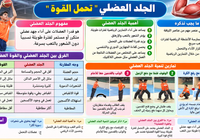ملخص درس الجلد العضلي «تحمل القوة» لمادة الرياضة المدرسية للصف الثاني عشر الفصل الدراسي الاول