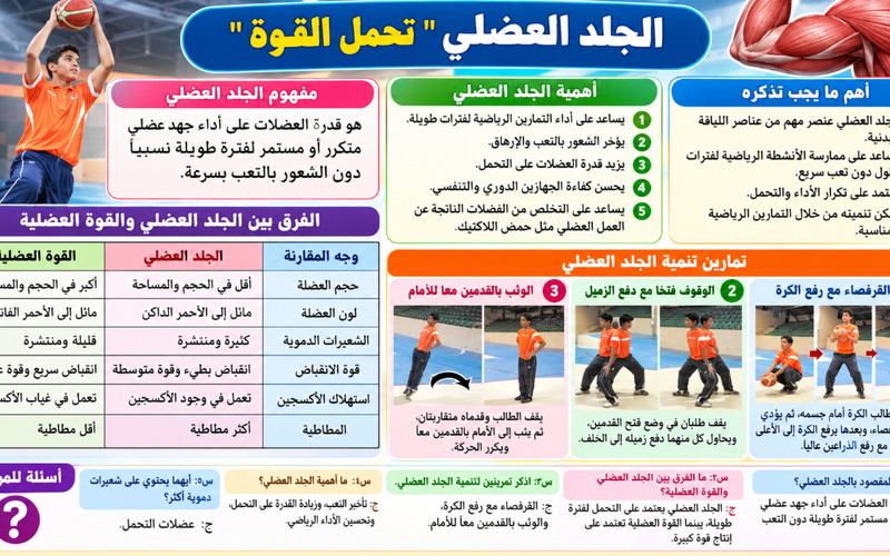ملخص درس الجلد العضلي «تحمل القوة» لمادة الرياضة المدرسية للصف الثاني عشر الفصل الدراسي الاول