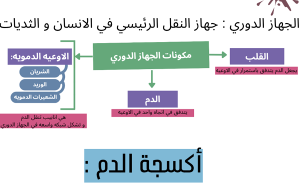 ملخص شامل ومنظم للوحدة الأولى (النقل في الثديات) لمادة الأحياء للصف العاشر الفصل الدراسي الاول المنهج العماني