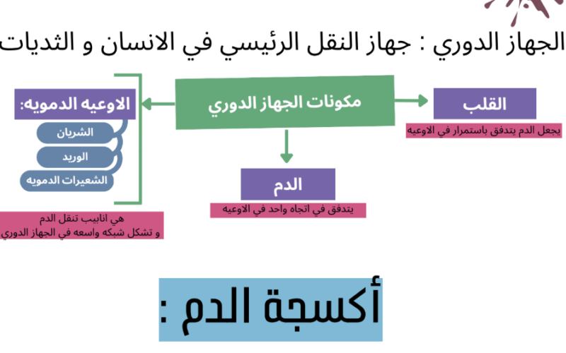 ملخص شامل ومنظم للوحدة الأولى (النقل في الثديات) لمادة الأحياء للصف العاشر الفصل الدراسي الاول المنهج العماني
